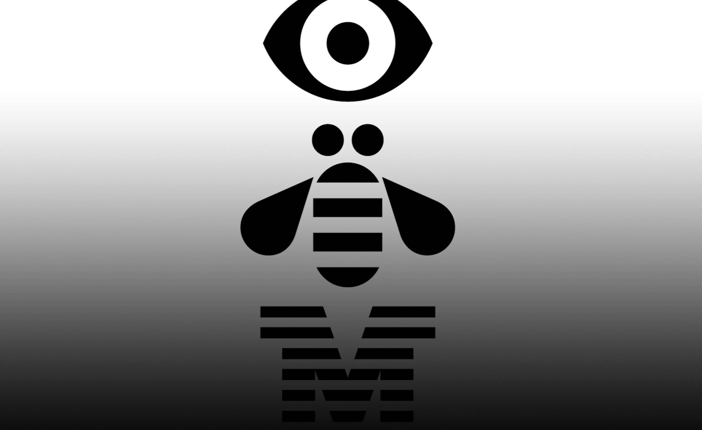 IBM Sprout case study
